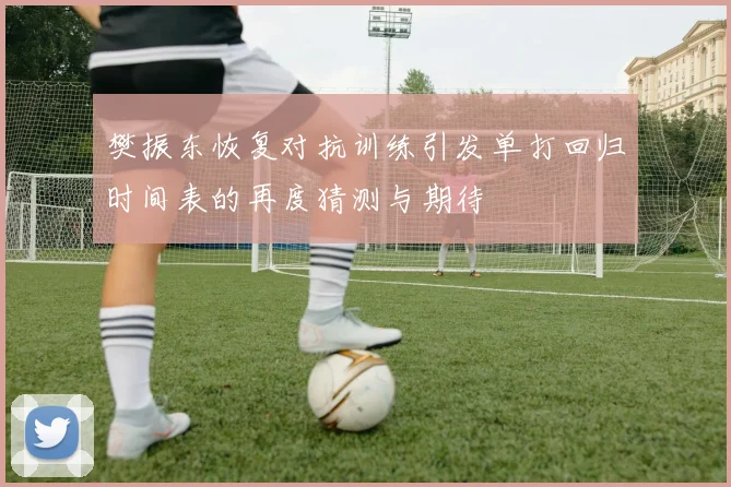 樊振东恢复对抗训练引发单打回归时间表的再度猜测与期待