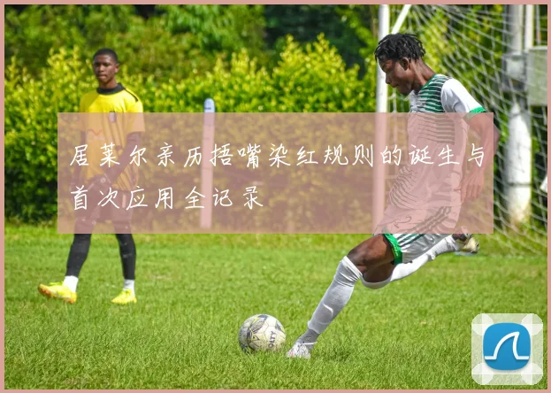 居莱尔亲历捂嘴染红规则的诞生与首次应用全记录