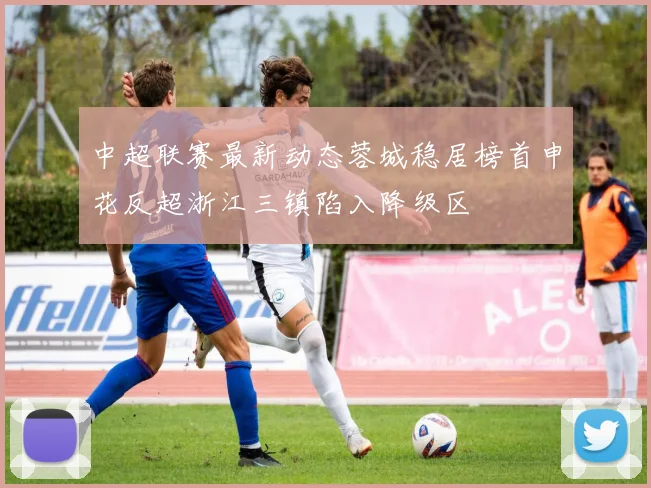 中超联赛最新动态蓉城稳居榜首申花反超浙江三镇陷入降级区